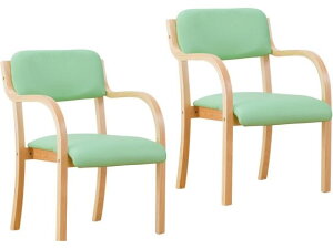 【レビュー投稿で100円OFFクーポン】【メーカー直送】ファミリー・ライフ 立ち座りサポートチェア グリーン 2脚組 0408720【代引不可】【お客様組立】ダイニングチェア ソファ イス リビング