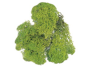 yr[e100~OFFN[|zy񂹁zH| vU[uh CfBAX ܓ XvOO[ t O[ vU[uht[  t[AWg