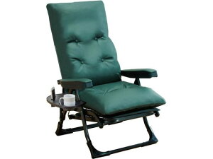 【ポイント10%バック★31日9:59迄】【メーカー直送】ファミリー・ライフ くつろぎのリクライニングアームチェアDXII GR 0411230【代引不可】リクライニングソファ ソファ イス リビング家具 イ