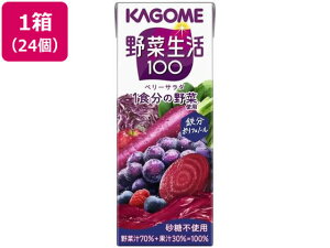 y}\聚2000~N[|&|Cg2{zJS ؐ100 x[T_ 200mL 24{ pbN ؃W[X  W[X