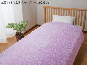 yX[p[SALE聚10ȏOFF2,000~N[|zy[J[zt@~[ECt Y唻TCY{[^IPbg 2Fg a34262yszVO |zc Q