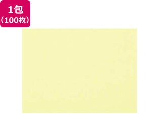 yr[e100~OFFN[|zy񂹁z剤 ĐFp 4c 100 oii Fp l } H  w