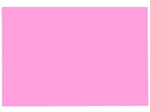 yr[e100~OFFN[|zy񂹁z剤 ĐFp 8c 10  Fp  } H  w