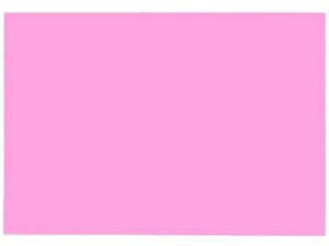 【レビュー投稿で100円OFFクーポン】【お取り寄せ】大王製紙 再生色画用紙 8ツ切 10枚 フラミンゴ 色画用紙 八つ切 図画 工作 教材 学童