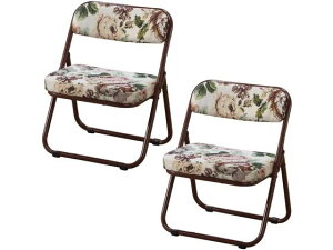 【レビュー投稿で100円OFFクーポン】【メーカー直送】ファミリー・ライフ 折りたためる高座椅子 ロータイプ 2個 03859【代引不可】ダイニングチェア ソファ イス リビング家具 インテリア