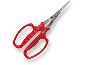 y}\2,000~N[|119:59|Cg2{zy񂹁zAXR[|[V ԂǂE n BP 321DX-T-BP nT~ _ _Ǝ |pi Ɨpi H