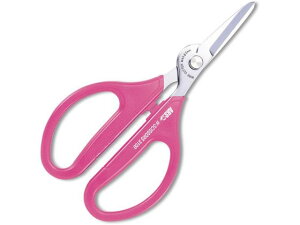 yr[e100~OFFN[|zy񂹁zAXR[|[V AXk[{[_u 3100-P nT~ _ _Ǝ |pi Ɨpi H