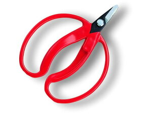 y}\2,000~N[|119:59|Cg2{zy񂹁zAXR[|[V ݂̎ 咼 BP 400-BP nT~ _ _Ǝ |pi Ɨpi H