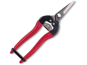 yr[e100~OFFN[|zy񂹁zAXR[|[V EV[g^Cv 175mm BP 300S-BP nT~ _ _Ǝ |pi Ɨpi H