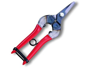 yr[e100~OFFN[|zy񂹁zAXR[|[V ̉ BP 310-BP nT~ _ _Ǝ |pi Ɨpi H