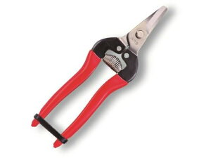 y}\2,000~N[|119:59|Cg2{zy񂹁zAXR[|[V ̉ fbNX  310DX nT~ _ _Ǝ |pi Ɨpi H