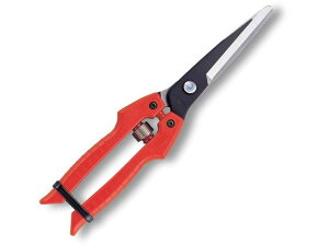 yr[e100~OFFN[|zy񂹁zAXR[|[V  ʂ˂p  SE-65 nT~ _ _Ǝ |pi Ɨpi H