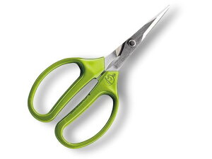 y}\2,000~N[|119:59|Cg2{zy񂹁zAXR[|[V V[vNtg \n 330S-M nT~ _ _Ǝ |pi Ɨpi H