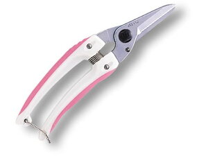 yr[e100~OFFN[|zy񂹁zAXR[|[V t@~[fbNX sN 140DX-P nT~ _ _Ǝ |pi Ɨpi H