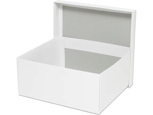 yr[e100~OFFN[|zy񂹁zwCR[ n Jo B 10 006818700 Mtg{bNX   bsO