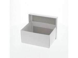 y}\2,000~N[|119:59|Cg2{zy񂹁zwCR[ n GXv{bNX B-2 10 006893600 Mtg{bNX   bsO