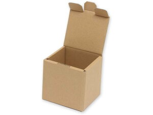 yr[e100~OFFN[|zy񂹁zwCR[ i`{bNX Z-103 n 10 006204103 Mtg{bNX   bsO