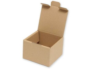 yr[e100~OFFN[|zy񂹁zwCR[ i`{bNX Z-107 n 10 006204107 Mtg{bNX   bsO