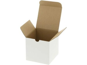 yr[e100~OFFN[|zy񂹁zwCR[ t[{bNX F-1 n 10 006205001 Mtg{bNX   bsO