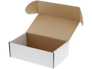 y}\2,000~N[|119:59|Cg2{zy񂹁zwCR[ t[{bNX F-11 n 10 006205011 Mtg{bNX   bsO