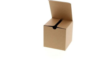 yr[e100~OFFN[|zy񂹁zwCR[ i`{bNX Z-1 n 10 006200110 Mtg{bNX   bsO