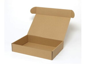 yr[e100~OFFN[|zy񂹁zwCR[ i`{bNX Z-8 n 10 006200810 Mtg{bNX   bsO