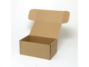 yr[e100~OFFN[|zy񂹁zwCR[ i`{bNX Z-16 n 10 006201610 Mtg{bNX   bsO