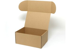 yr[e100~OFFN[|zy񂹁zwCR[ i`{bNX Z-18 n 10 006201810 Mtg{bNX   bsO