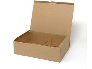 yr[e100~OFFN[|zy񂹁zwCR[ i`{bNX ECOEZ-9 n 10 006204090 Mtg{bNX   bsO