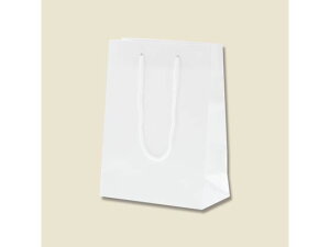 yr[e100~OFFN[|zy񂹁zwCR[ 񂰎 uCgobO T-3  10 006143106  ەR  bsO 