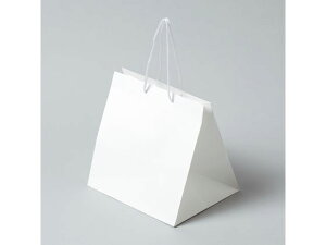 yr[e100~OFFN[|zy񂹁zwCR[ 񂰎 AWobO M n 10 006441101  ەR  bsO 