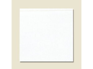 yr[e100~OFFN[|zy񂹁zo[K[ 18 n 100 004738209   