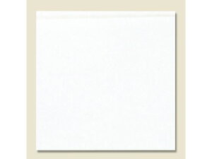 yr[e100~OFFN[|zy񂹁zo[K[ 20 n 100 004738210   