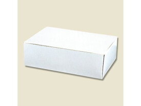 【レビュー投稿で100円OFFクーポン】【お取り寄せ】ヘイコー サンドイッチケース 白 100枚 004200600 使いきり皿 テイクアウト 使いきり食器 キッチン テーブル