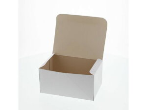 yr[e100~OFFN[|zy񂹁zwCR[ Hi m B P[L4p  50 004230100 fU[gp eCNAEg gH Lb` e[u