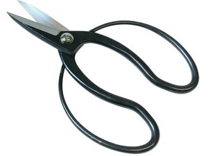 y}\2,000~N[|119:59|Cg2{zy񂹁z󍁍H v 192091 nT~ _ _Ǝ |pi Ɨpi H