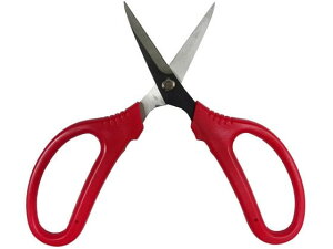 y}\2,000~N[|119:59|Cg2{zy񂹁z󍁍H \p ؉ FG-S120R 190075 nT~ _ _Ǝ |pi Ɨpi H