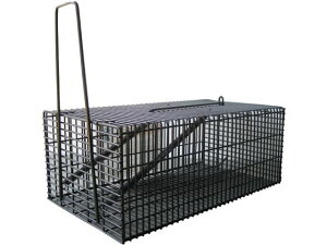 yr[e100~OFFN[|zy񂹁zRp Rp ubN p^nEX L   E | K[fjO