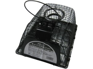 yr[e100~OFFN[|zy񂹁zRp Rp ubN `[nEX^ Ch   E | K[fjO