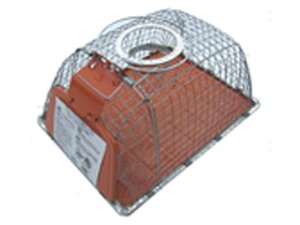 yr[e100~OFFN[|zy񂹁zRp `[nEX^ Ch   E | K[fjO