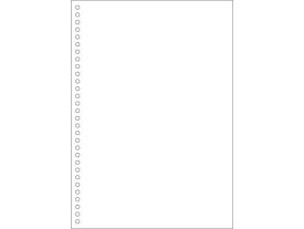 【スーパーSALE限定2,000円クーポン＆11日9:59迄ポイント2倍】 送料無料 【お取り寄せ】ヒサゴ マルチプリンタ帳票(エコノミープライス)A4 白紙 30 2500枚 マルチプリンタ帳票 A4 ヒサゴ OA伝票 帳票