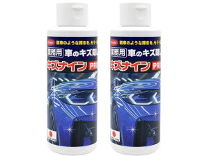 yr[e100~OFFN[|zy[J[zt@~[ECt Ɩp Ԃ̃LYB LYiCPRO 2{ a34541ysz