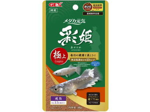 y}\2,000~N[|119:59|Cg2{zy񂹁zWFbNX _JC ʕP ɏ 40g 31279  Wpt[h t[h Ϗ܋ ybg ANAE