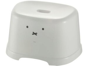 yr[e100~OFFN[|zy񂹁zb`F fBbNu[i  21H zCg  gC pCX  ʏ pG