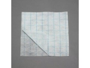 yr[e100~OFFN[|zy񂹁zGXR 400x800mm JbgtB^[ GARECp EA997PR-25A dݎ  Ɨpi H