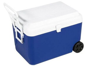 yr[e100~OFFN[|zy񂹁zGXR 640x420x450mm 60L N[[{bNX EA917AH-3 Lvpi AEghA ނ