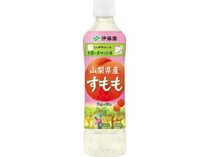 【レビュー投稿で100円OFFクーポン】伊藤園 ニッポンエール山梨県産すもも 500g ペットボトル 果実飲料 ジュース 飲料