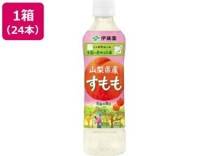 【レビュー投稿で100円OFFクーポン】送料無料【お取り寄せ】伊藤園 ニッポンエール山梨県産すもも 500g×24本 ペットボトル 果実飲料 ジュース 飲料