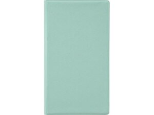 【レビュー投稿で100円OFFクーポン】ライオン事務器 グッズ用ケース ファンデス ライトグリーン GC-3 小物入れ デスクトップ収納 デスク周り 文具