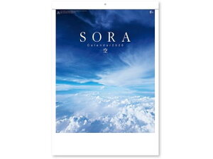 yr[e100~OFFN[|zy񂹁zV{J_[ SORA -- NK8134 py[p[ m[g